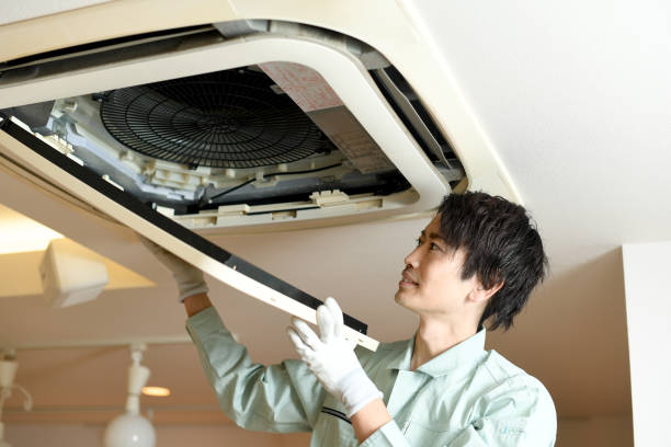 Best Home Air Vent Cleaning  in Agua Dulce, TX